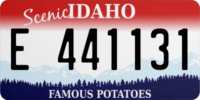 ID license plate E441131