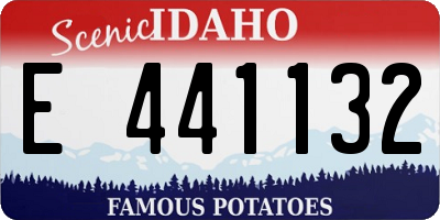 ID license plate E441132