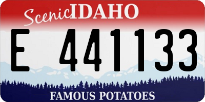 ID license plate E441133