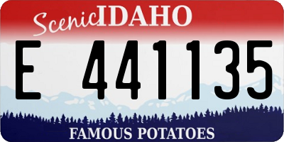 ID license plate E441135
