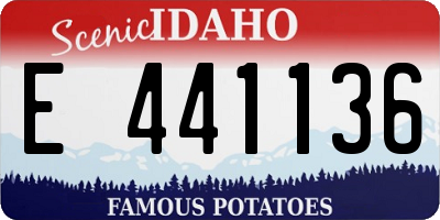 ID license plate E441136
