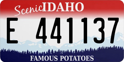 ID license plate E441137