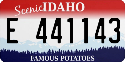 ID license plate E441143