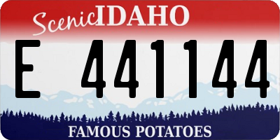 ID license plate E441144