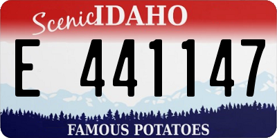 ID license plate E441147
