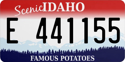 ID license plate E441155