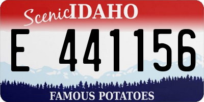 ID license plate E441156