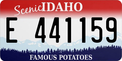 ID license plate E441159