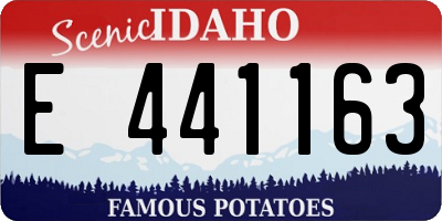ID license plate E441163