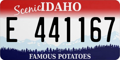 ID license plate E441167