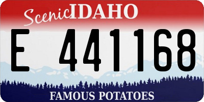 ID license plate E441168