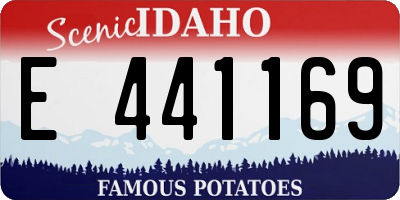 ID license plate E441169