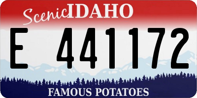 ID license plate E441172