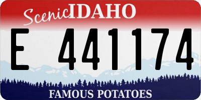 ID license plate E441174
