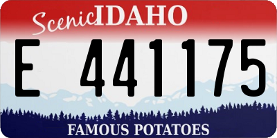 ID license plate E441175