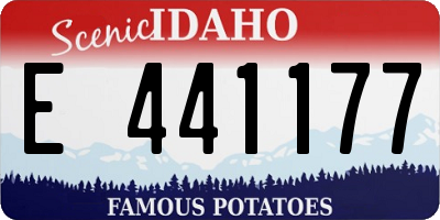 ID license plate E441177
