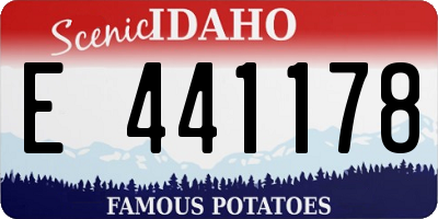 ID license plate E441178