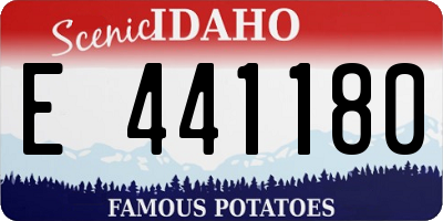 ID license plate E441180