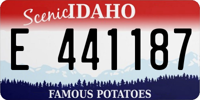 ID license plate E441187