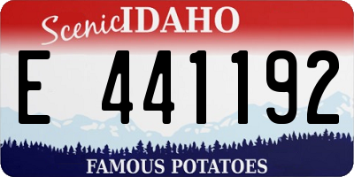 ID license plate E441192