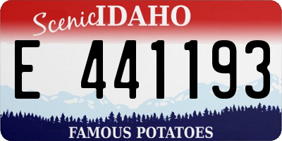 ID license plate E441193