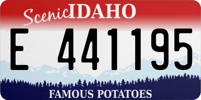 ID license plate E441195
