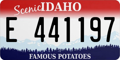 ID license plate E441197