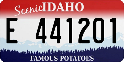 ID license plate E441201