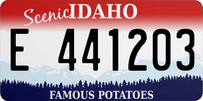 ID license plate E441203