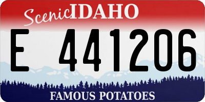 ID license plate E441206