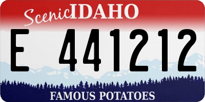 ID license plate E441212