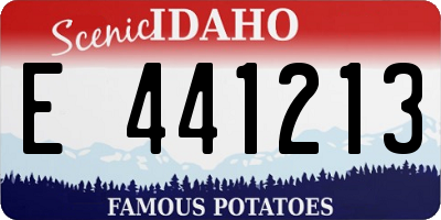 ID license plate E441213