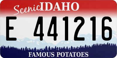 ID license plate E441216