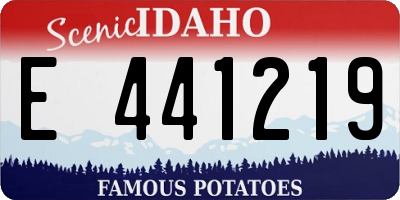 ID license plate E441219