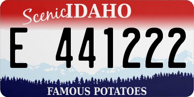 ID license plate E441222