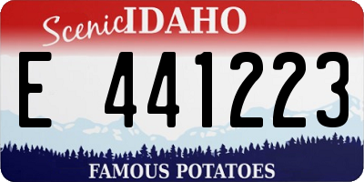 ID license plate E441223