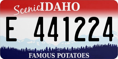 ID license plate E441224