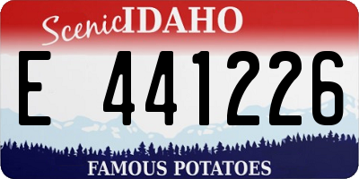 ID license plate E441226
