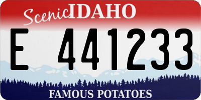ID license plate E441233