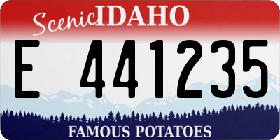 ID license plate E441235