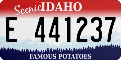 ID license plate E441237