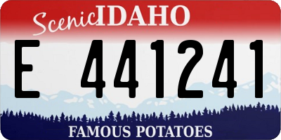 ID license plate E441241