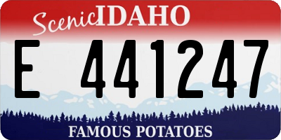 ID license plate E441247