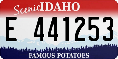 ID license plate E441253