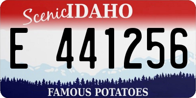 ID license plate E441256