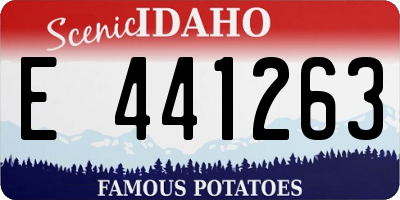 ID license plate E441263