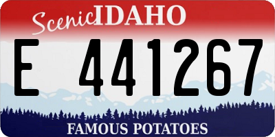 ID license plate E441267