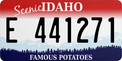 ID license plate E441271