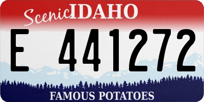 ID license plate E441272