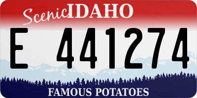 ID license plate E441274